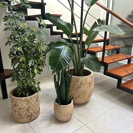 Stunning 2 Bedroom Duplex Close To Main With Seaviews * プエルト・デル・カルメン