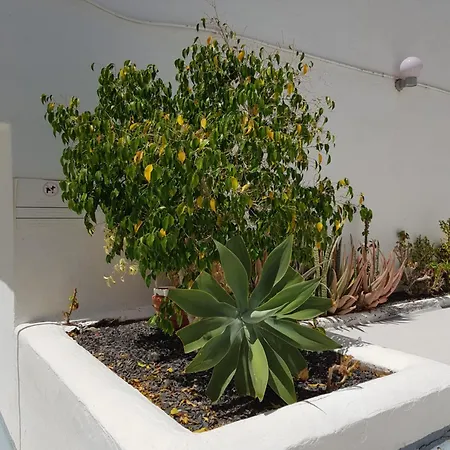 Stunning 2 Bedroom Duplex Close To Main With Seaviews Lägenhet