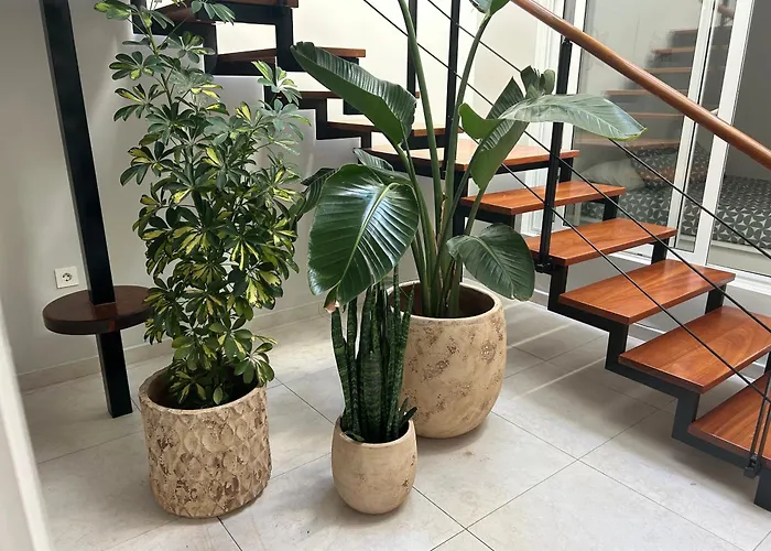 Stunning 2 Bedroom Duplex Close To Main With Seaviews * プエルト・デル・カルメン