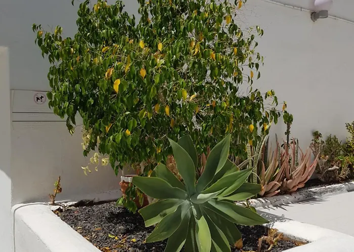 Stunning 2 Bedroom Duplex Close To Main With Seaviews Appartamento